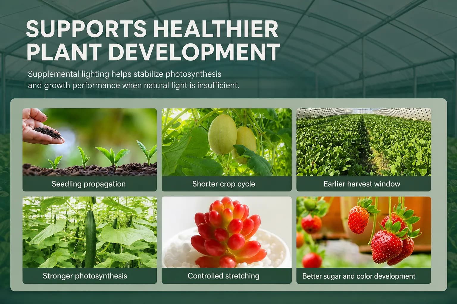 Plant-development benefits board for the LED grow light