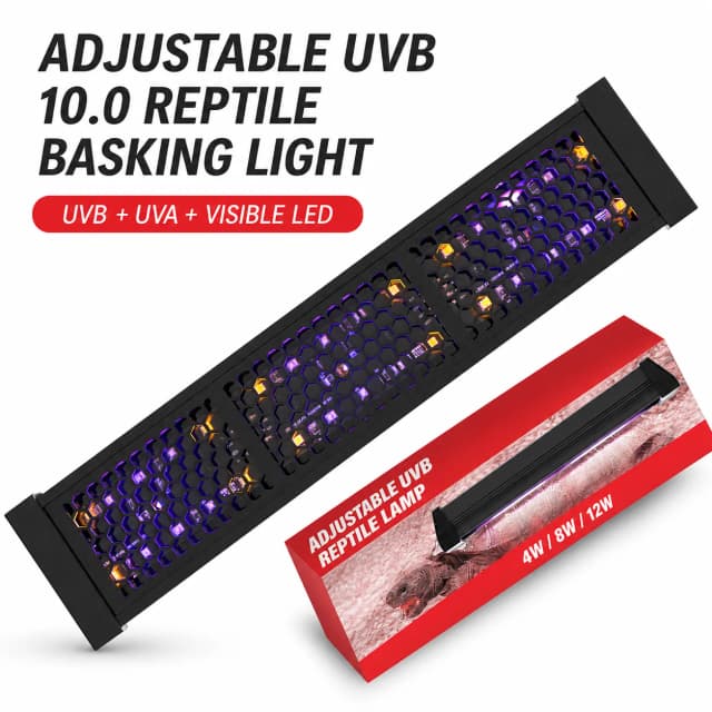 Adjustable UVB 10.0 reptile basking light on a pure white background